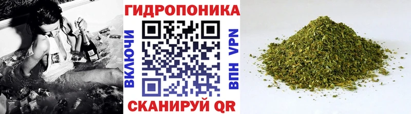 даркнет телеграм  магазин продажи наркотиков  Южноуральск  Бошки Шишки гибрид 